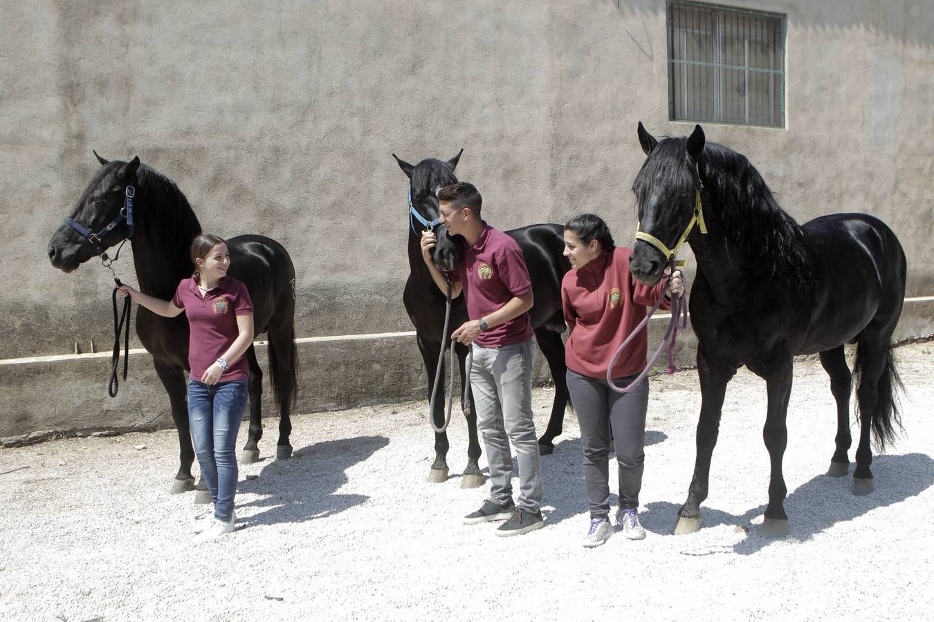 Jinetes y caballos se preparan para Jueves Santo