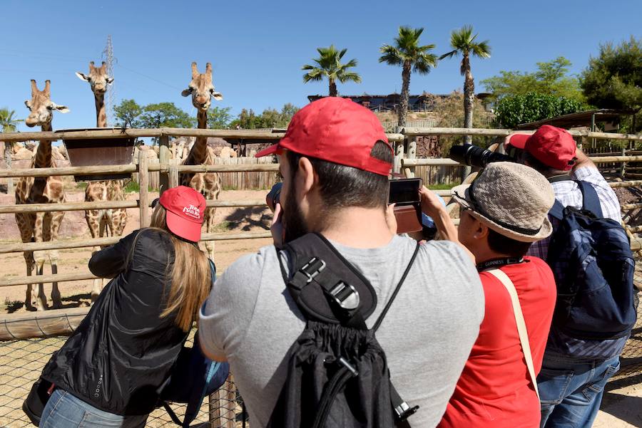 Enfocando la naturaleza más salvaje
