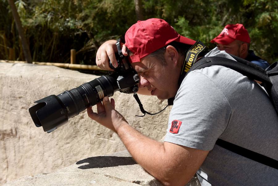 Enfocando la naturaleza más salvaje