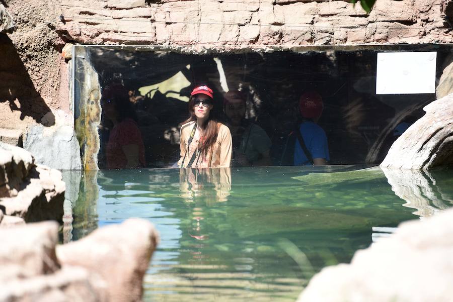 Enfocando la naturaleza más salvaje