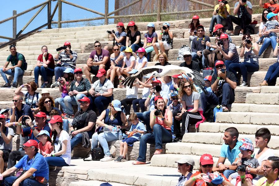 Enfocando la naturaleza más salvaje