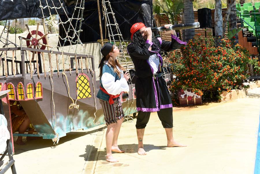 Enfocando la naturaleza más salvaje