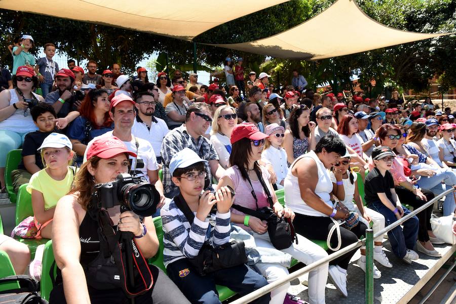 Enfocando la naturaleza más salvaje