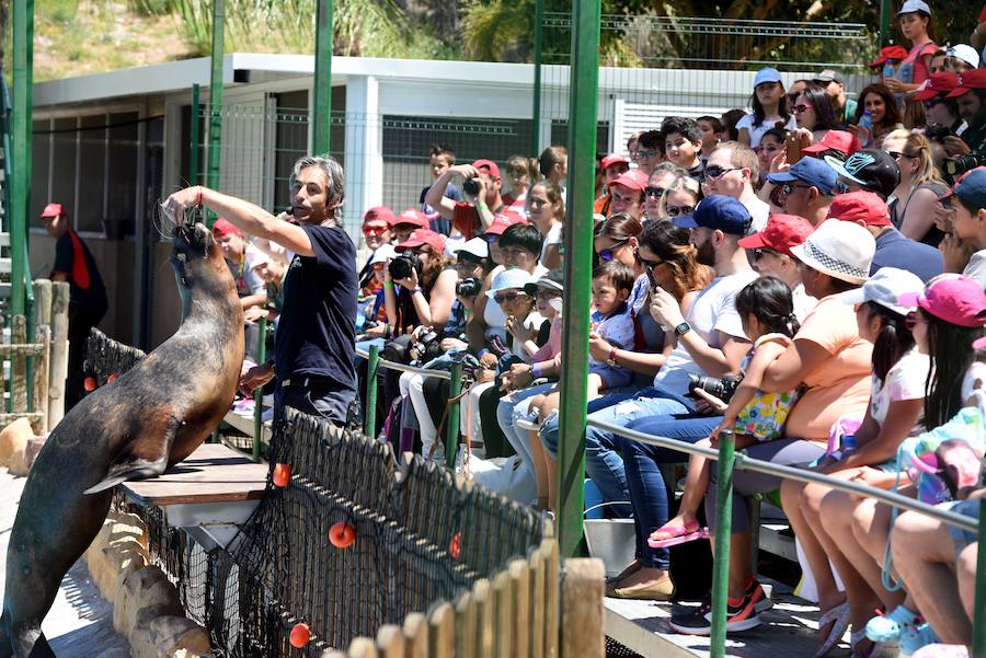 Enfocando la naturaleza más salvaje