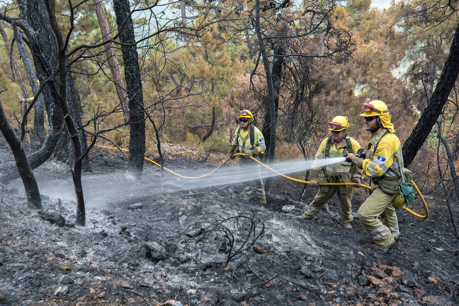 Los bomberos forestales que desde el pasado jueves luchan contra las llamas en el incendio de Yeste (Albacete) tienen previsto acotar el fuego este miércoles.