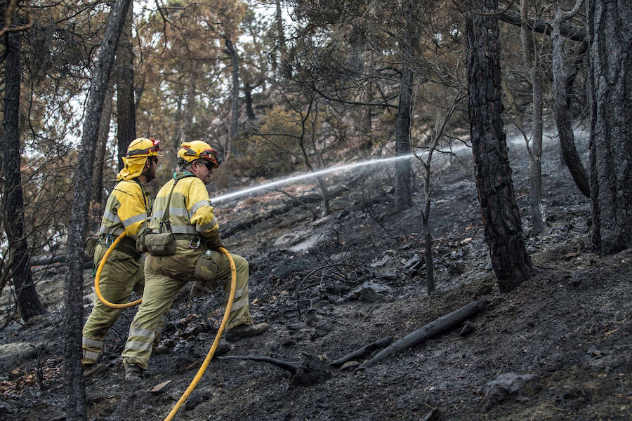 Los bomberos forestales que desde el pasado jueves luchan contra las llamas en el incendio de Yeste (Albacete) tienen previsto acotar el fuego este miércoles.