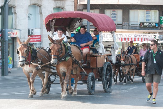 Carros huertanos, ayer, en la salida de la ruta.