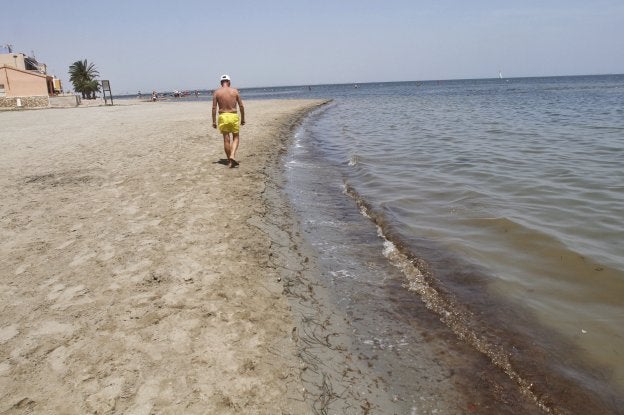 Un bañista pasea por una playa de Los Urrutias, llena de lodo y algas, el jueves.