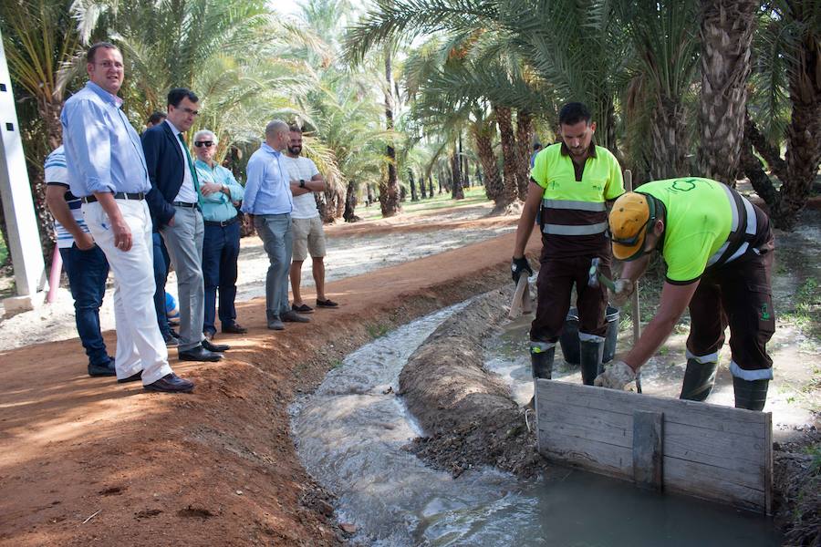 El cuidado de los 9.000 metros cuadrados consistió en el mantenimiento intensivo de los ejemplares existentes y la plantación de árboles.