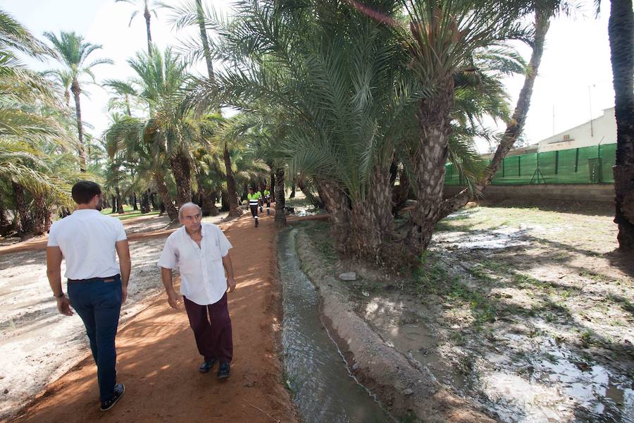 El cuidado de los 9.000 metros cuadrados consistió en el mantenimiento intensivo de los ejemplares existentes y la plantación de árboles.