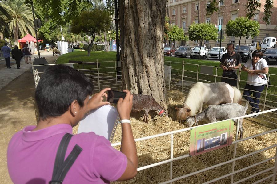 El Ayuntamiento fomenta la adopción de mascotas con una muestra en los jardines de la avenida Teniente Flomesta
