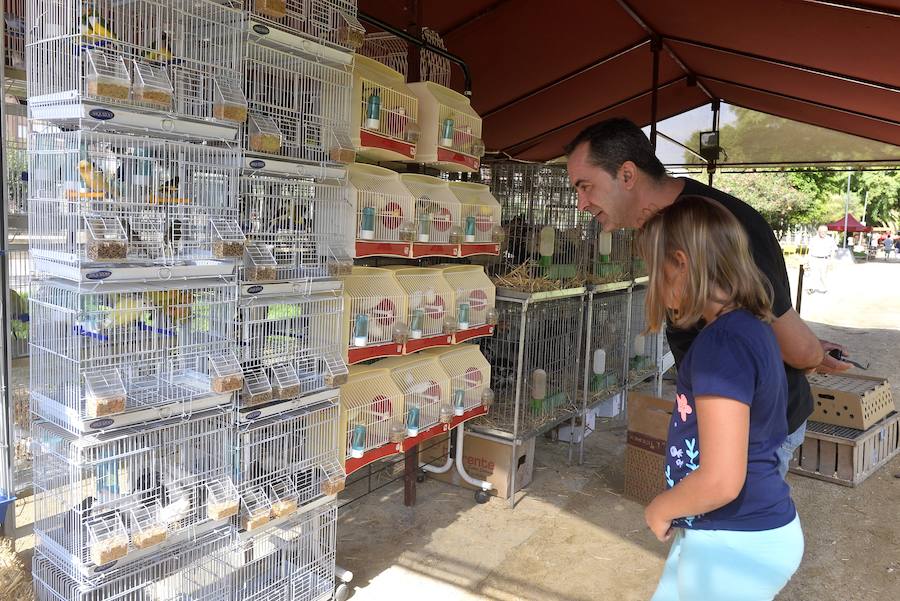 El Ayuntamiento fomenta la adopción de mascotas con una muestra en los jardines de la avenida Teniente Flomesta