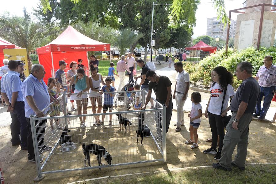 El Ayuntamiento fomenta la adopción de mascotas con una muestra en los jardines de la avenida Teniente Flomesta