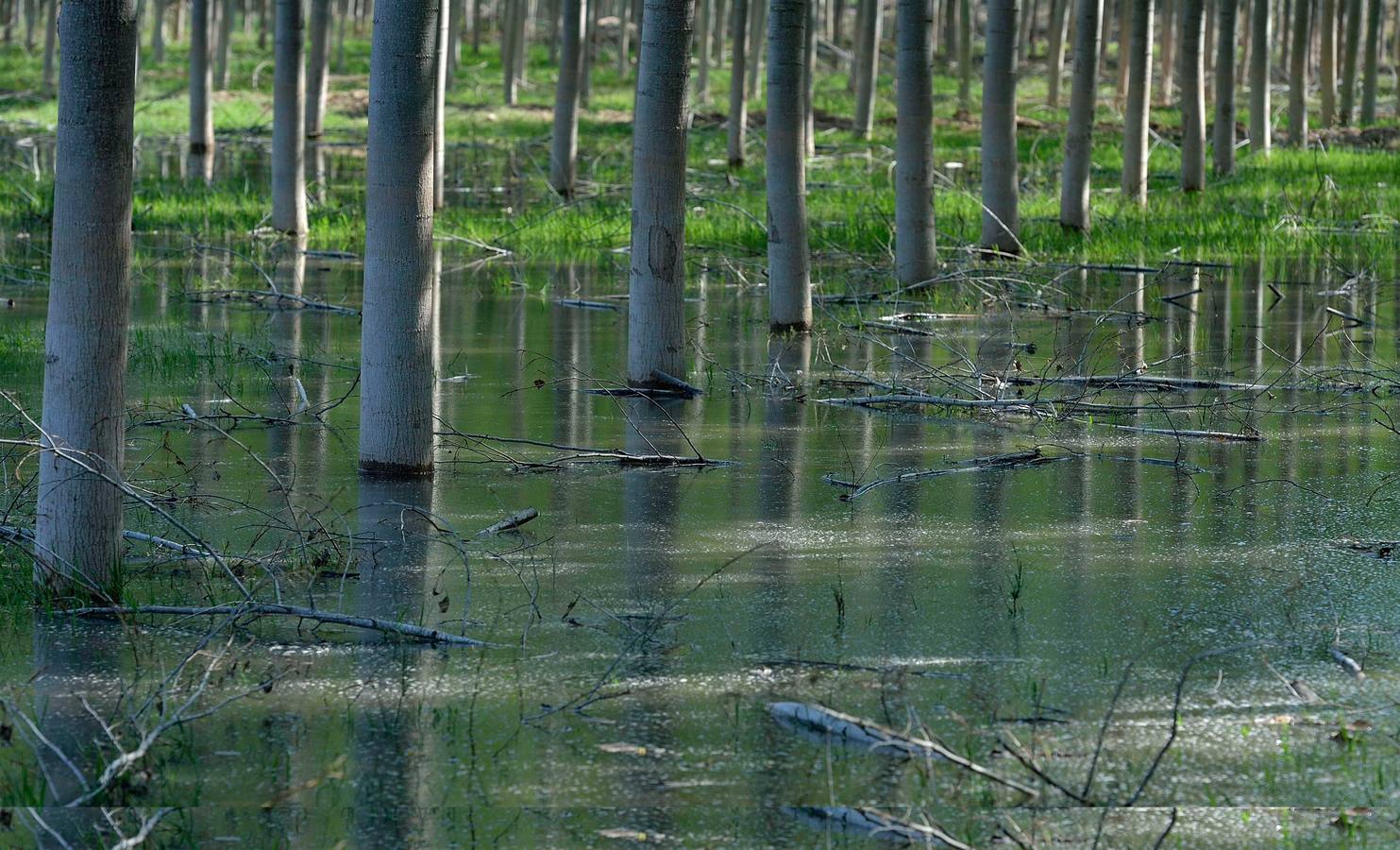 El rumor del agua y el canto del viento acompañan una ruta llena de vida que permite un buen baño estival. 