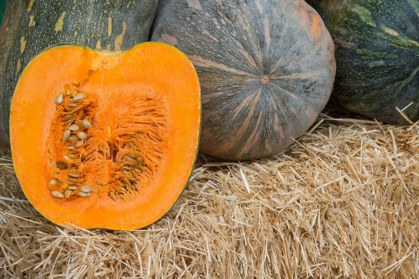 Una docena de expositores que ofrecen una amplia variedad de alimentos, especialmente frutas, hortalizas, confituras, mieles y encurtidos