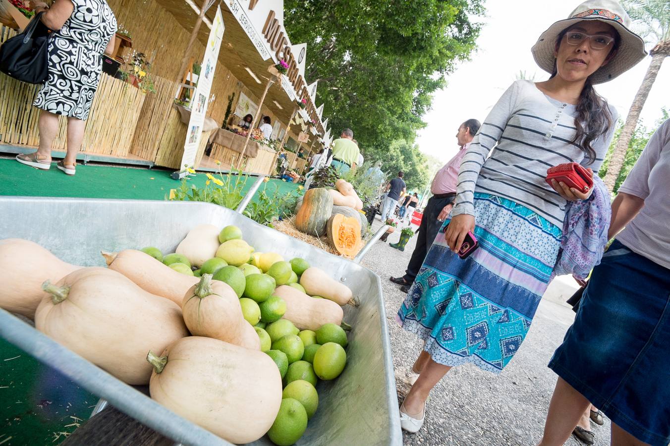 Una docena de expositores que ofrecen una amplia variedad de alimentos, especialmente frutas, hortalizas, confituras, mieles y encurtidos