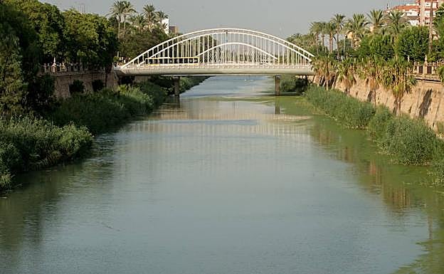 El río Segura, a su paso por Murcia.