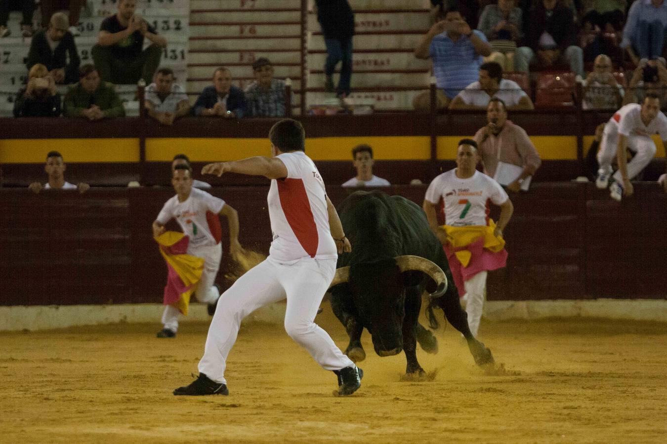 Las luces del centenario coso de La Condomina se encendieron anoche para acoger un espectáculo singular: una semifinal del Campeonato de España de recortadores