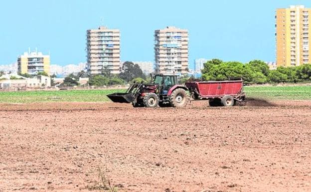 Un tractor, ayer durante unas tareas de abonado en un campo de cultivo de Mar de Cristal, en la zona sur del Mar Menor. 