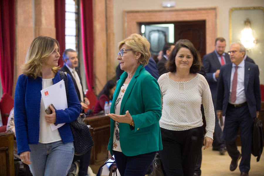 La oposición respaldó este jueves la moción de urgencia por la que el Ayuntamiento de Murcia pide que el AVE se quede en la estación de Beniel y se ejecute mientras tanto el soterramiento desde Senda de los Garres hasta El Carmen que incluya la estación. PSOE, Ciudadanos, Cambiemos, Ahora Murcia y el edil no adscrito Javier Trigueros reclamaron que el AVE no entre en superficie a Murcia y rechazan más actos de fe reclamando al Gobierno local, regional y estatal "hechos y menos palabras"