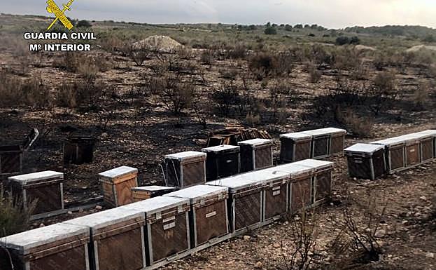 Terrenos quemados por el incendio. 