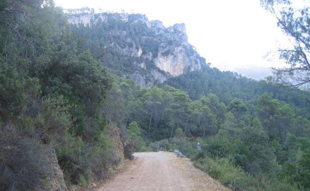 El camino discurre empinado y solitario por el corazón de la sierra.