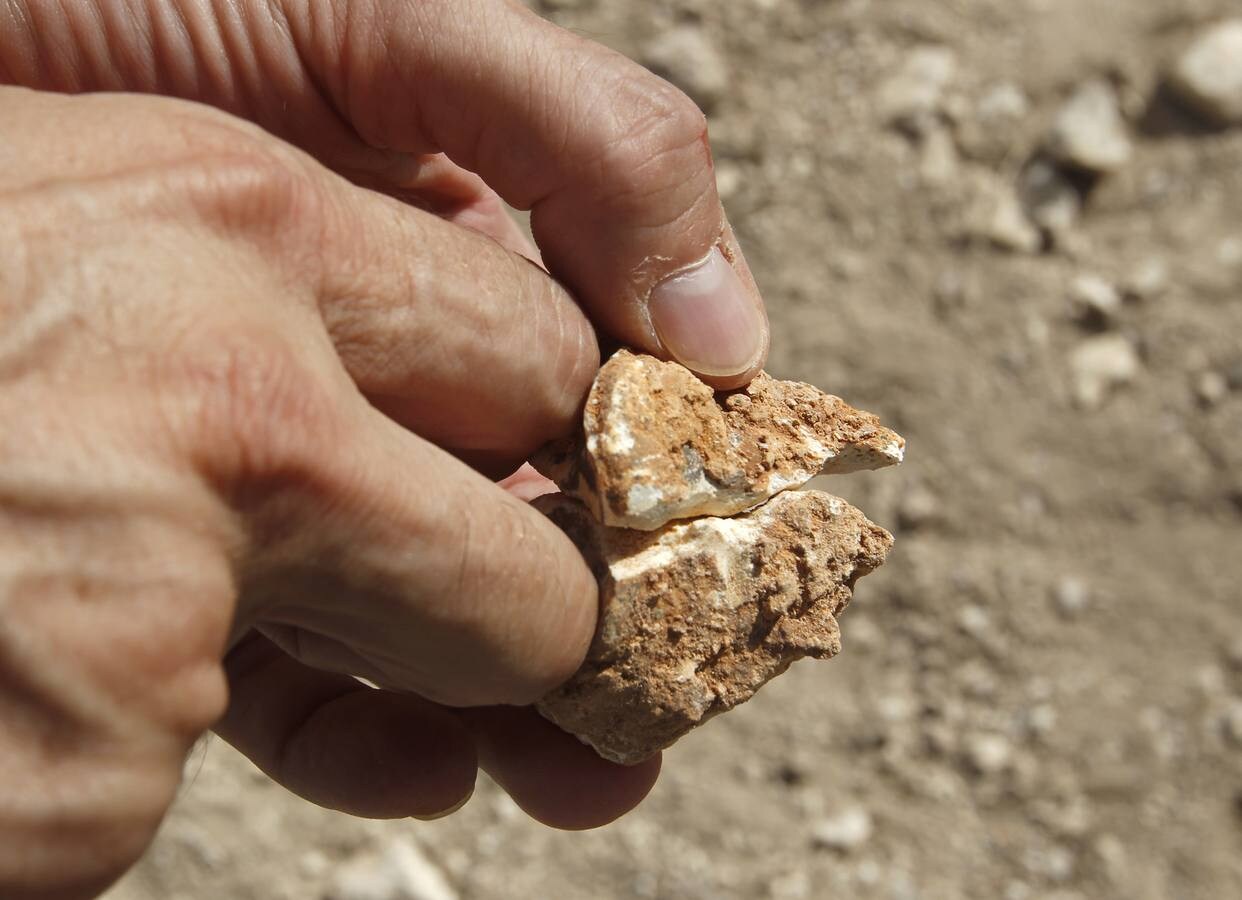 El yacimiento de la Sierra de Quibas (Abanilla) desvela los secretos del ecosistema en el que vivieron los primeros humanos en Europa Occidental