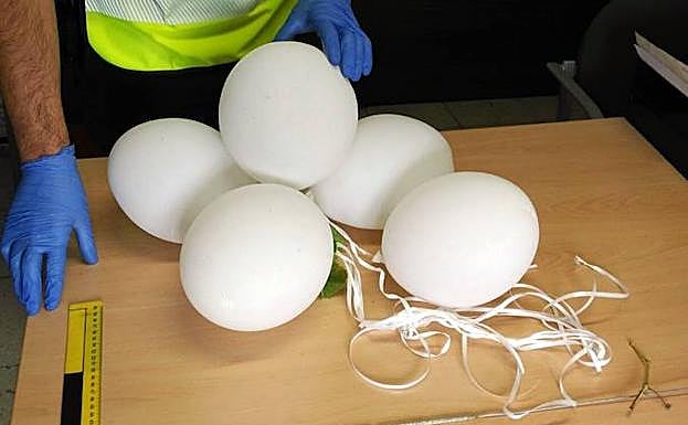Encuentran el primer indicio de terroristas incendiarios: bengalas atadas a globos de helio