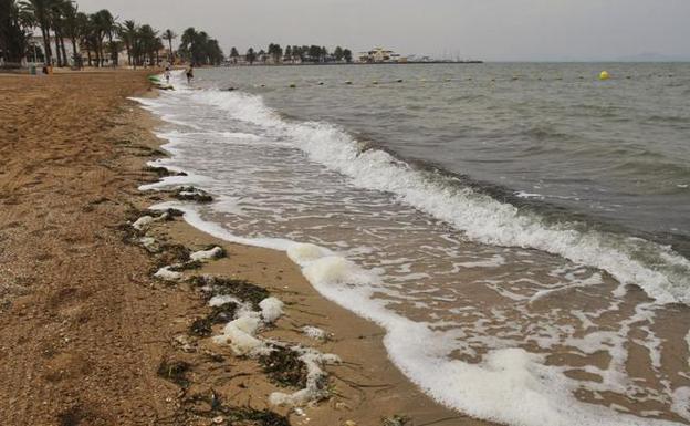 Suciedad en la orilla de una playa del Mar Menor en una imagen de archivo. 