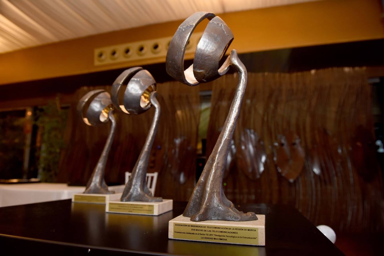 La Noche de las Telecomunicaciones cumple su decimoséptima edición en la que la web de 'La Verdad' ha sido premiada como la empresa más destacada en el sector TIC