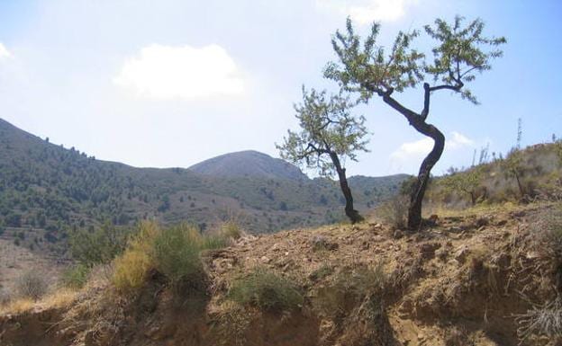 Imagen principal - El pico de la cara norte del Talayón asoma sobre las lomas más bajas, una casa abandonada en la sierra y un revolcadero de jabalíes.
