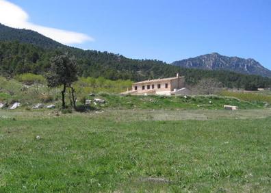 Imagen secundaria 1 - La Casa de Cristo, un cortijo junto a la pista forestal y una panorámica de las sierras de La Muela y El Cerezo.