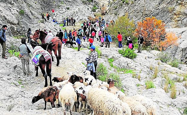 Marcha ganadera y reivindicativa en Abarán.