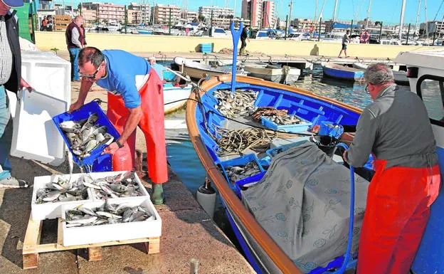 El pescador Antonio Jesús López prepara las doradas recogidas sobre un palé en el puerto.