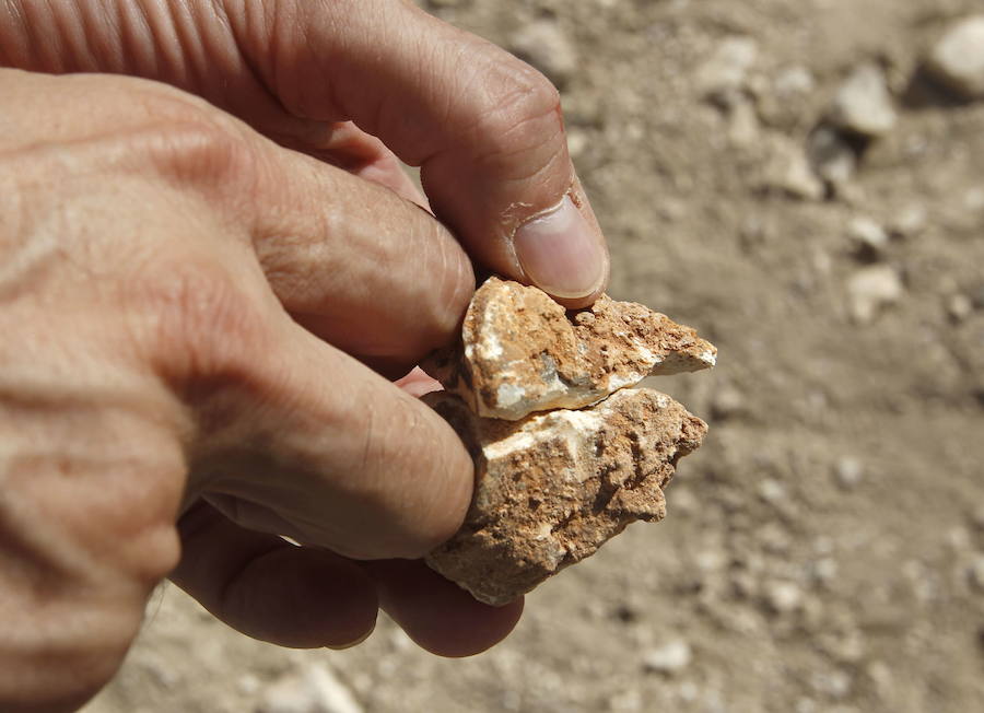 El yacimiento de la Sierra de Quibas (Abanilla) desvela los secretos del ecosistema en el que vivieron los primeros humanos en Europa Occidental