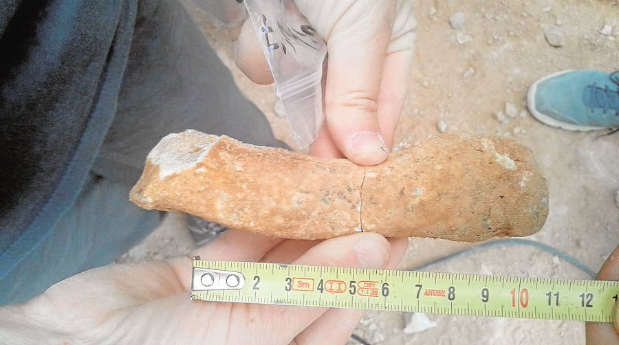 El yacimiento de la Sierra de Quibas (Abanilla) desvela los secretos del ecosistema en el que vivieron los primeros humanos en Europa Occidental