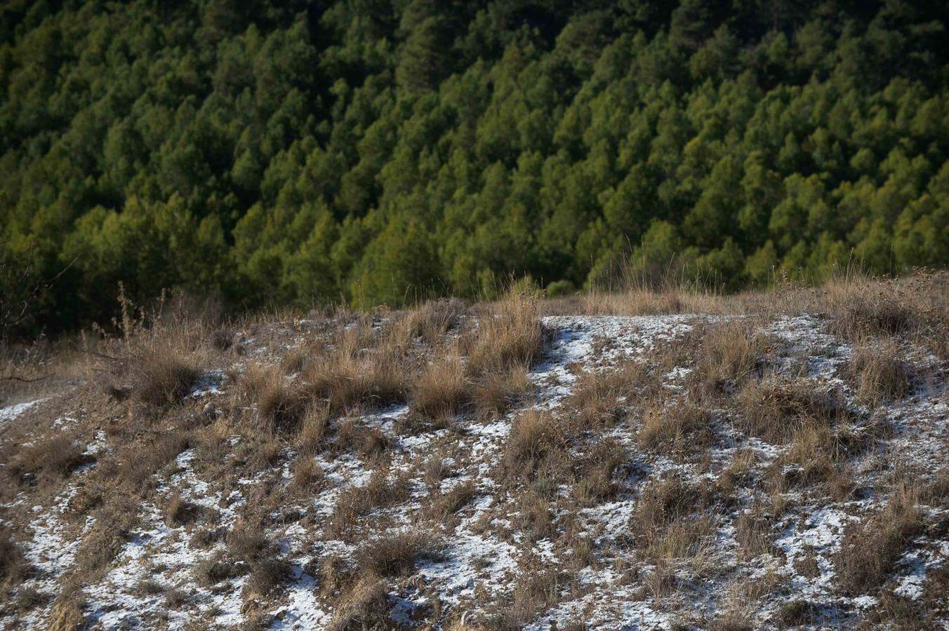 Las sierras de La Muela, del Cerezo, Los Álamos y Villafuerte y las pedanías altas de Moratalla y Caravaca se tiñen de blanco