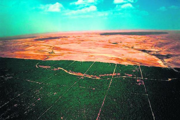 Vista aérea de un tramo del Sahel en el que se aprecia el desierto del Sáhara, al norte, y el dique verde transcontinental, al sur.