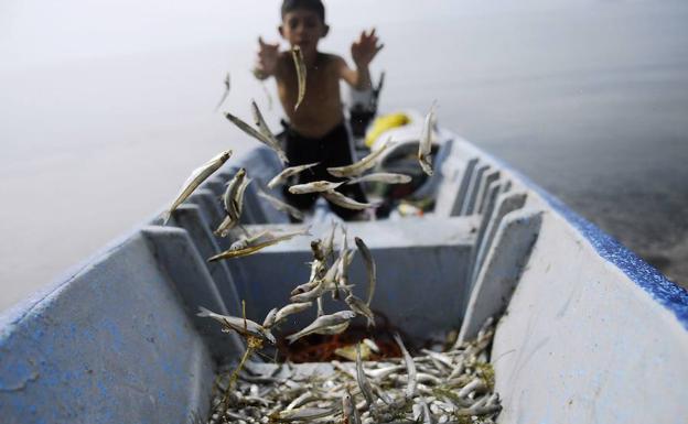 Un niño arroja al interior de su barca las capturas.