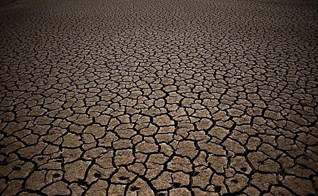 Fondo cuarteado de un pantano vacío por la sequía.