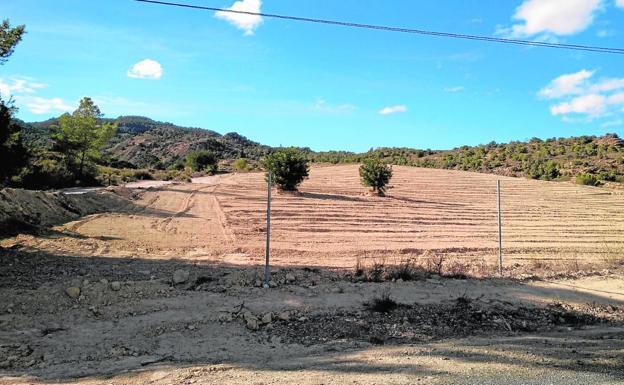 Imagen de la zona transformada para cultivo de regadío, que incluye terrenos forestales y de secano.