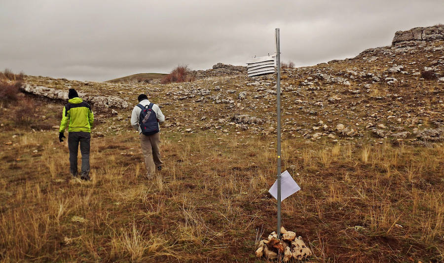 El plan científico de la Universidad de Murcia rastrea los polos más fríos de la cuenca del Segura, desde Cazorla a la pedanía lorquina de Purias