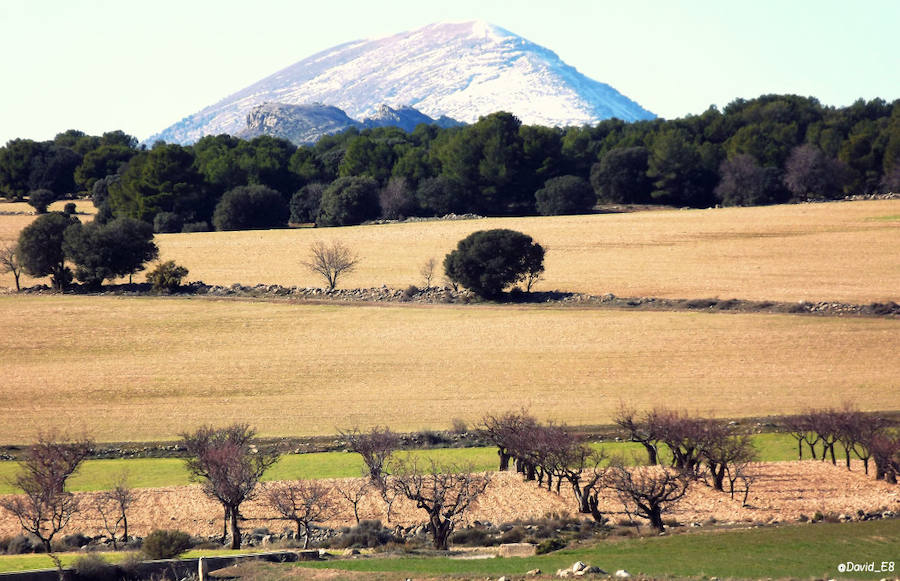 El plan científico de la Universidad de Murcia rastrea los polos más fríos de la cuenca del Segura, desde Cazorla a la pedanía lorquina de Purias