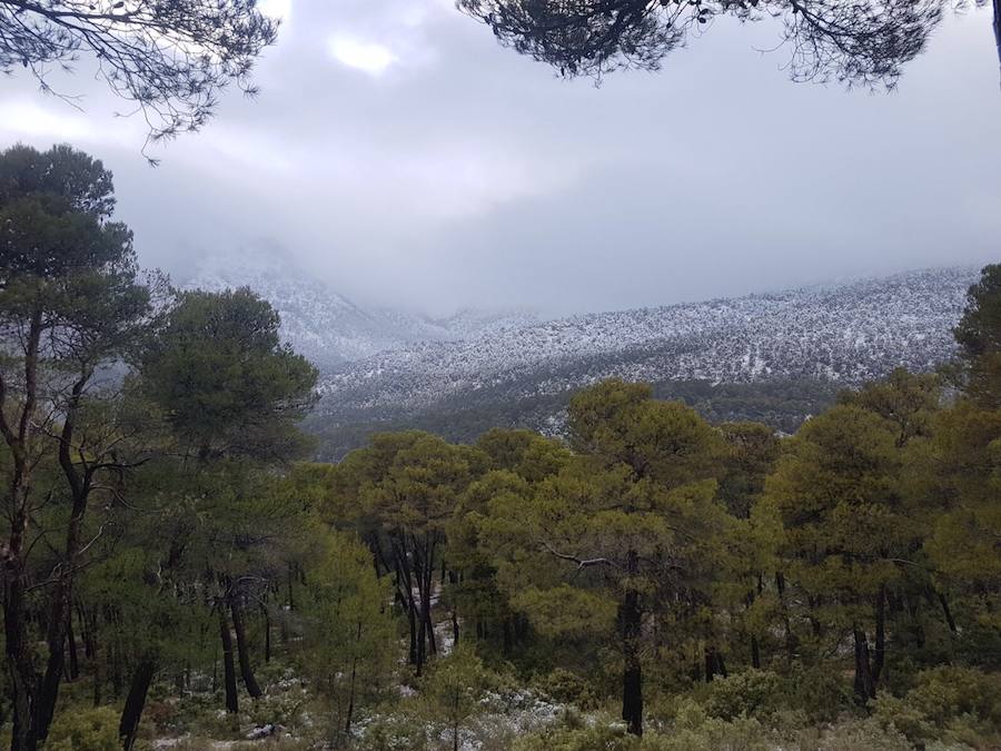 Sierra Espuña también recibió parte de la nevada.