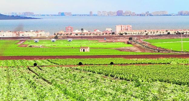Cultivos intensivos en el entorno de la población de Los Nietos, con el Mar Menor de fondo.