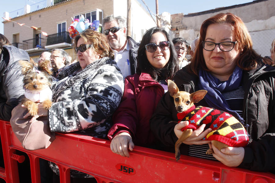 Perros, conejos, caballos y periquitos, entre otros, reciben la bendición por el día de San Antón en Cartagena. 