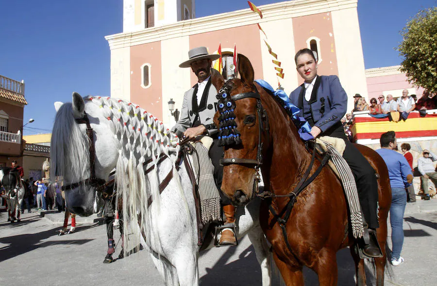 Perros, conejos, caballos y periquitos, entre otros, reciben la bendición por el día de San Antón en Cartagena. 