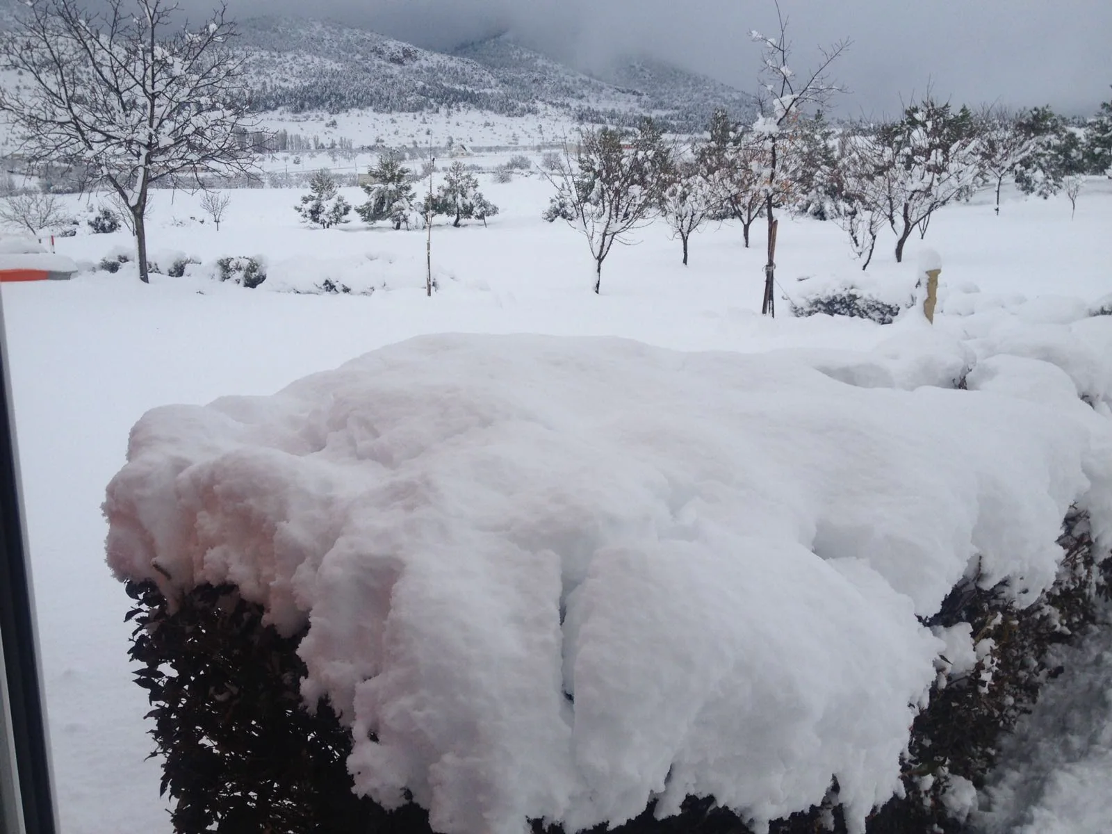 El campo de San Juan se tiñe de blanco.