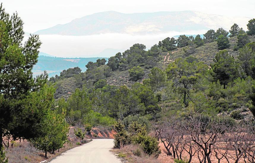 Peña Zafra de Arriba abre el programa con el que el municipio da a conocer su patrimonio cultural y natural y su gastronomía