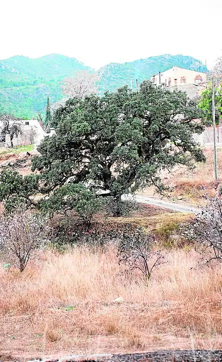 Peña Zafra de Arriba abre el programa con el que el municipio da a conocer su patrimonio cultural y natural y su gastronomía